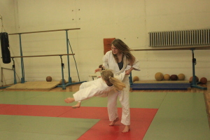 Judo  (232)